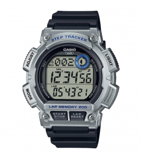 Монополия | Японские наручные часы мужские Casio Collection WS-2100H-1A2
